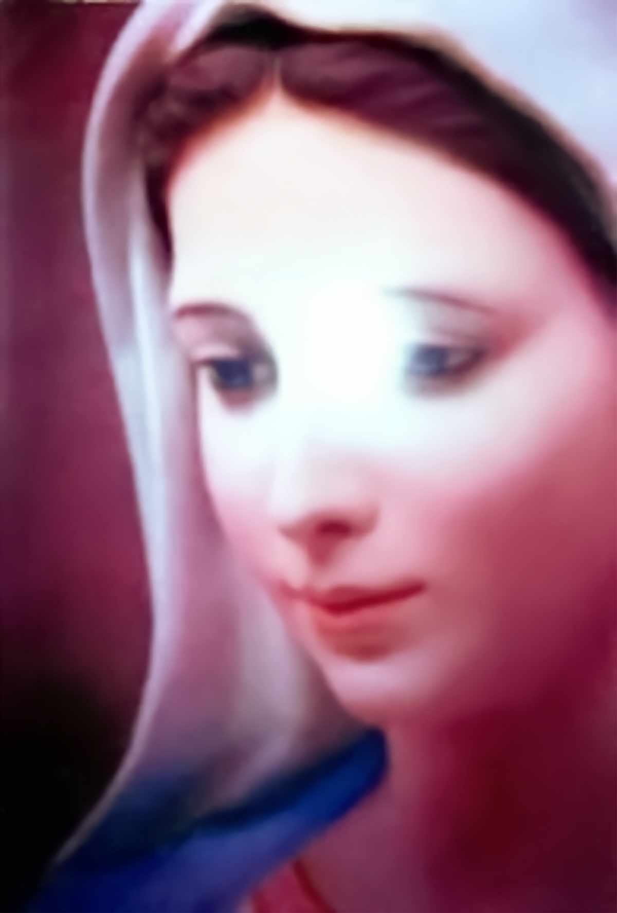 The Sacred Face of Our Lady